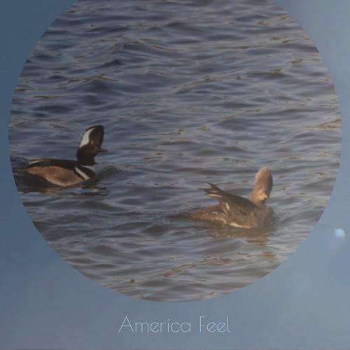 America Feel