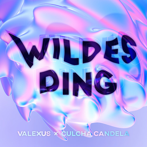 WILDES DING (Explicit)