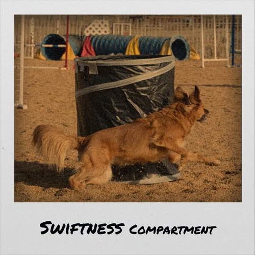 Swiftness Compartment