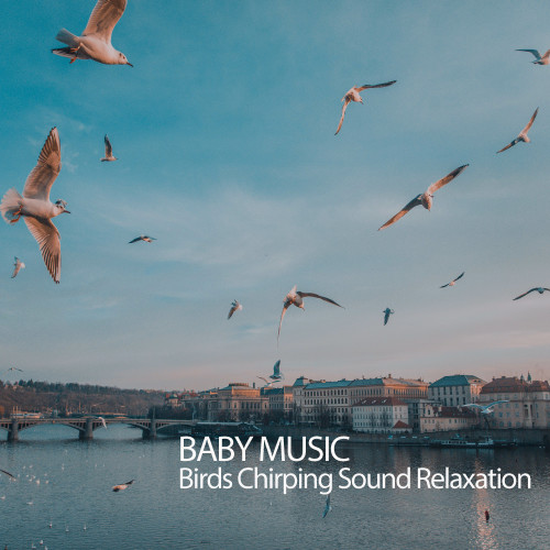 Baby Music: Birds Chirping Sound Relaxation