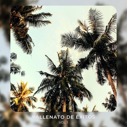 Vallenato de Éxitos, Vol. 1