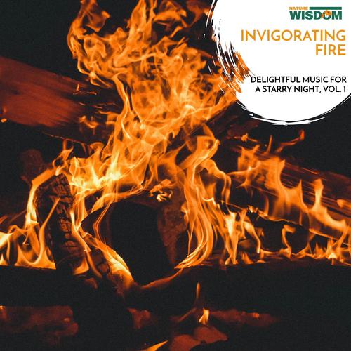 Invigorating Fire - Delightful Music for a Starry Night, Vol. 1