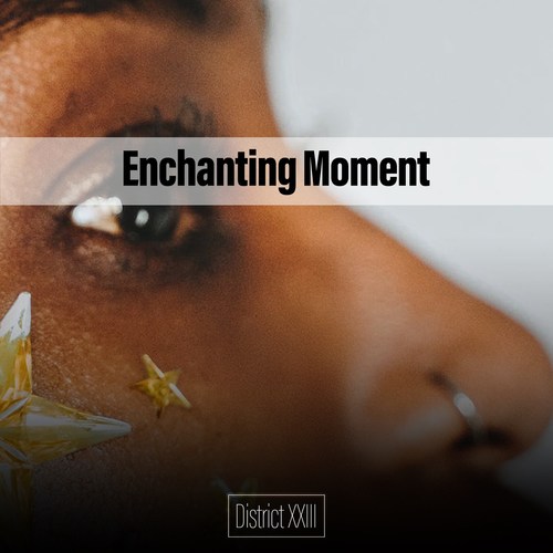 Enchanting Moment District XXIII