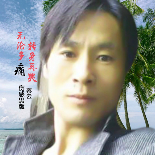 无论多痛转身再哭(伤感男版)