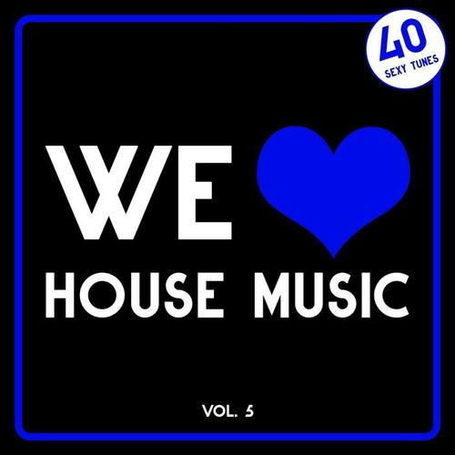 We Love House Music, Vol. 5 (40 Sexy Tunes)