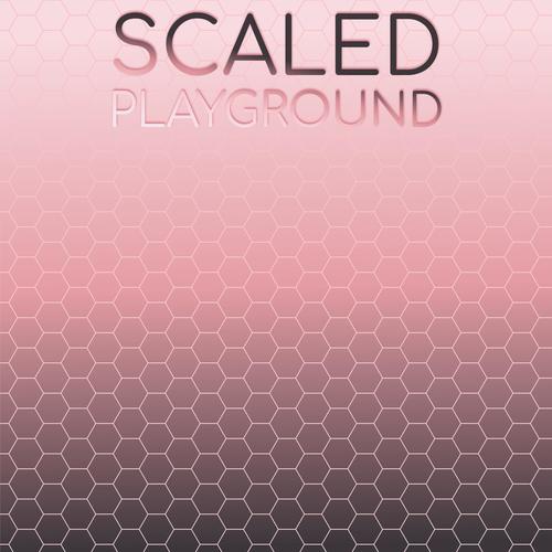 Scaled Playground