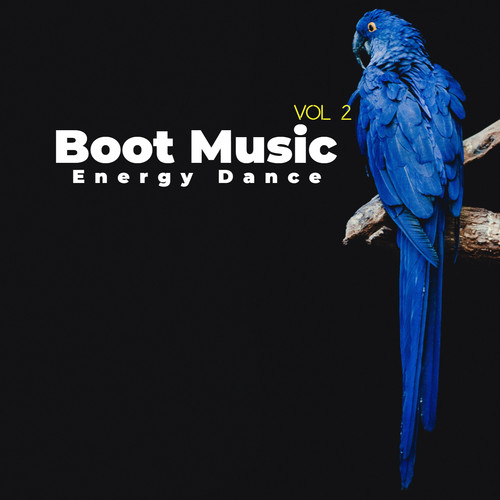 Boot Music Energy Dance Vol.2