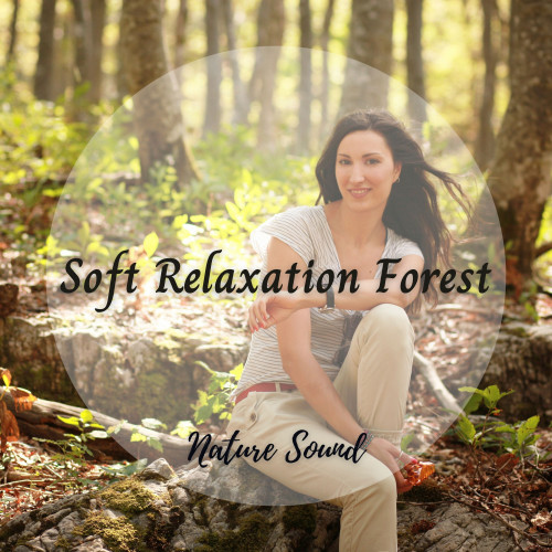 Nature Sound: Soft Relaxation Forest