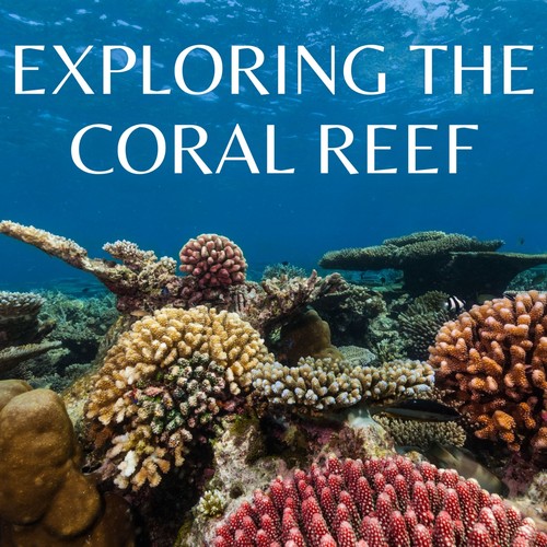 Exploring the Coral Reef