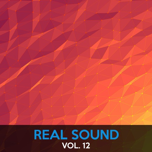 Real Sound, Vol. 12