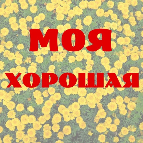 Моя хорошая