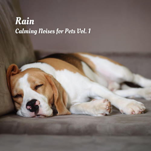 Rain: Calming Noises for Pets Vol. 1