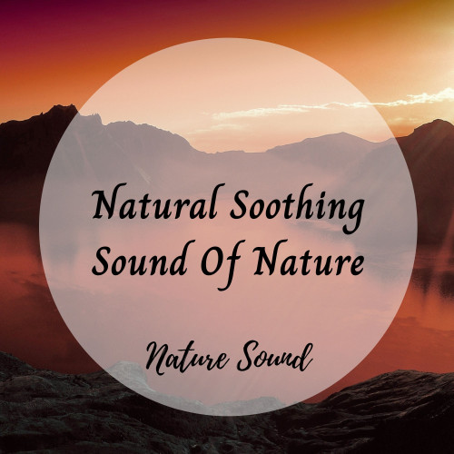 Nature Sound: Natural Soothing Sound Of Nature