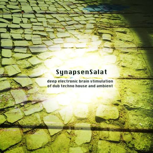 SynapsenSalat (Deep Electronic Brain Stimulation of Dub Techno House and Ambient)