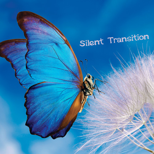 Silent Transition