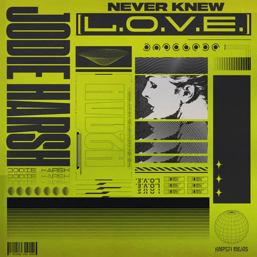 Never Knew (L.O.V.E) (Extended)