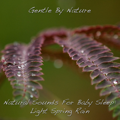 Natural Sounds for Baby Sleep: Light Spring Rain