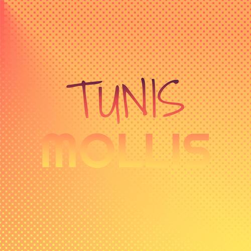 Tunis Mollis