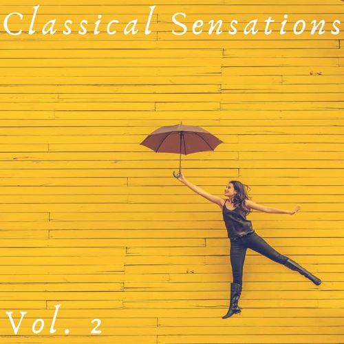 Classical Sensation Vol. 2