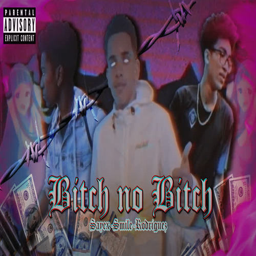 Bitch No Bitch (Explicit)