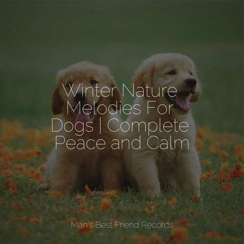 Winter Nature Melodies For Dogs | Complete Peace and Calm