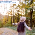 Unite My Soul With Peaceful Melodies, Vol. 01