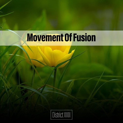 Movement Of Fusion District XXIII