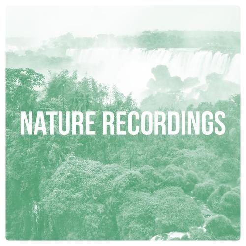 Nature Recordings