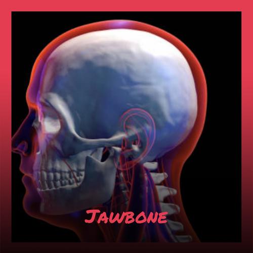 Jawbone