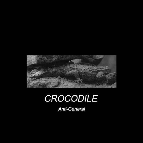 Crocodile