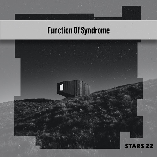 Function Of Syndrome Stars 22