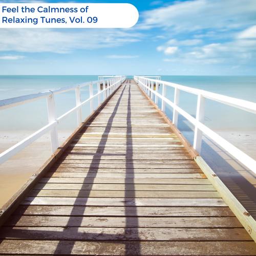 Feel The Calmness Of Relaxing Tunes, Vol. 09