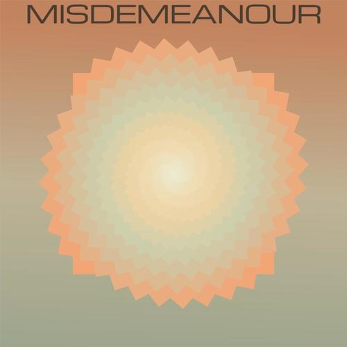 Misdemeanour