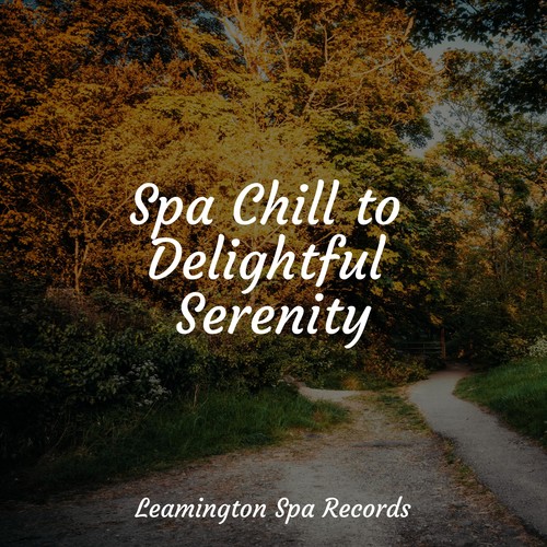 Spa Chill to Delightful Serenity