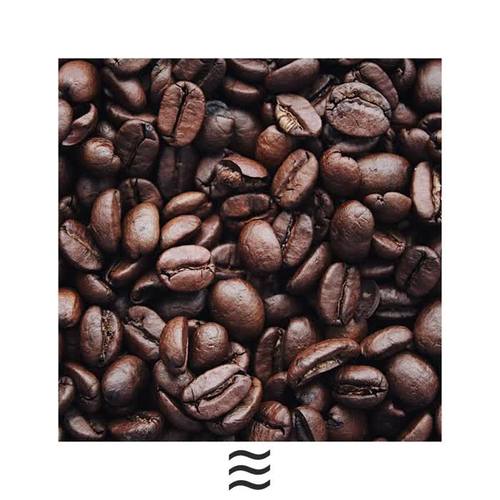 Soft Ambient Sounds of Coffee Shop