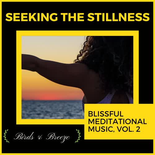 Seeking The Stillness - Blissful Meditational Music, Vol. 2