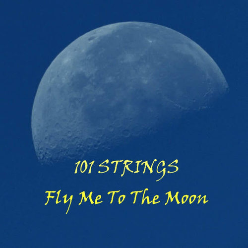 Fly Me To The Moon