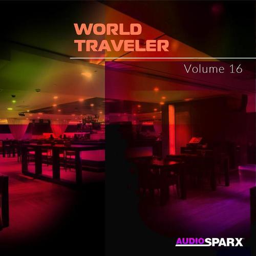 World Traveler Volume 16