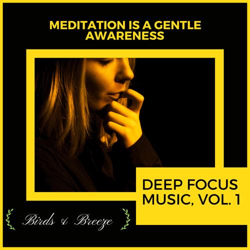 Meditation Is A Gentle Awareness - Deep Focus Music, Vol. 1