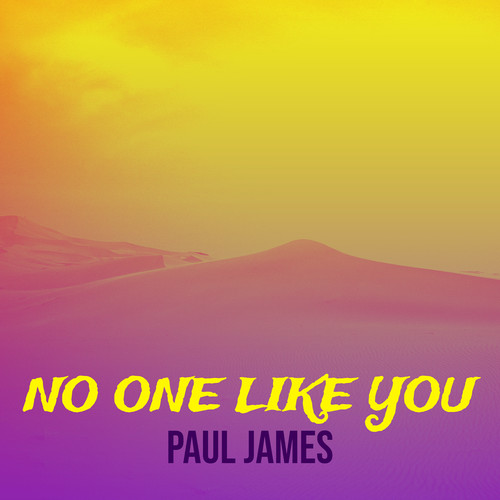 No One Like You