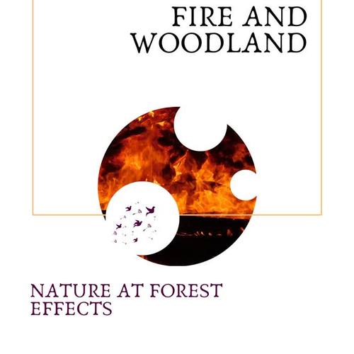 Fire and Woodland - Nature at Forest Effects