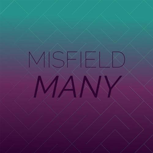 Misfield Many