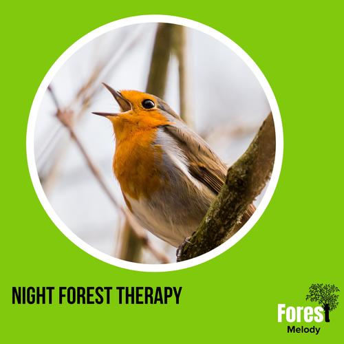 Night Forest Therapy