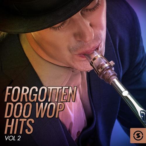 Forgotten Doo Wop Hits, Vol. 2