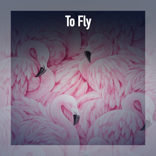 To Fly