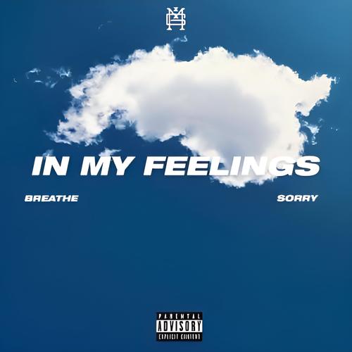 In my feelings (Explicit)