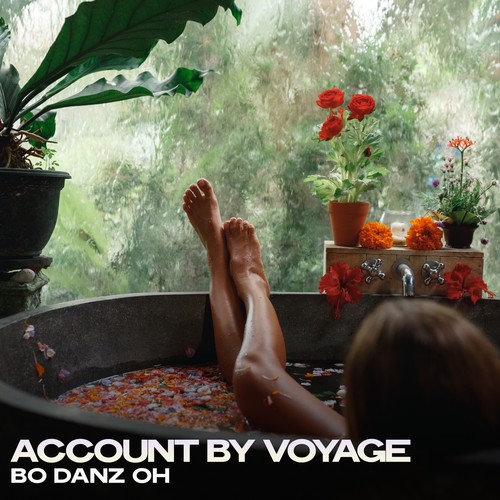 Account by Voyage
