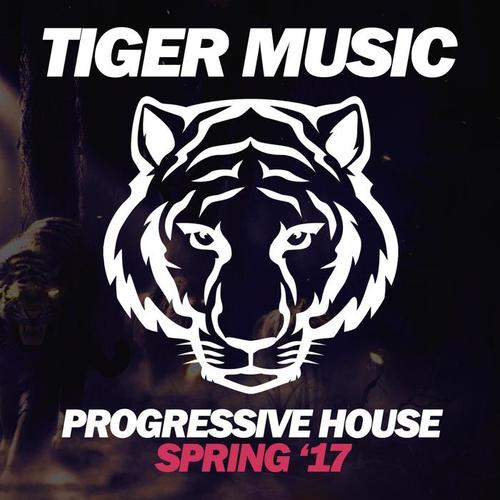 Progressive House (Spring '17)