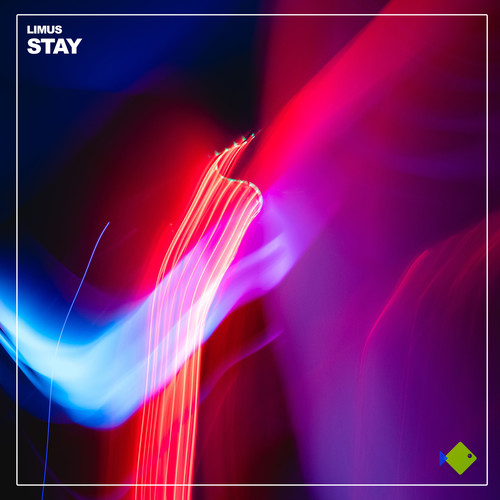 Stay