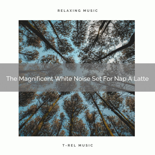 The Magnificent White Noise Set For Nap A Latte